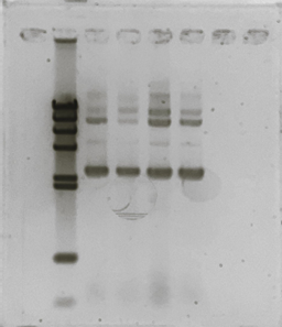 写真, 横, 座る, ドア が含まれている画像

AI 生成コンテンツは誤りを含む可能性があります。