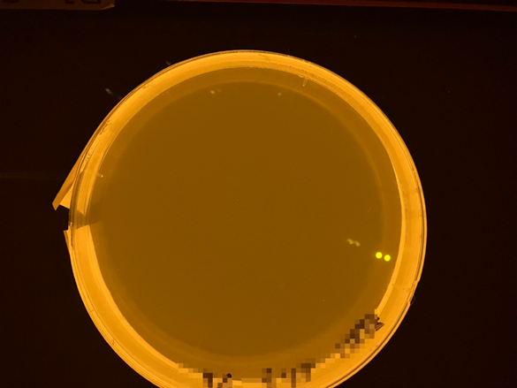 カップに入った飲み物

AI 生成コンテンツは誤りを含む可能性があります。