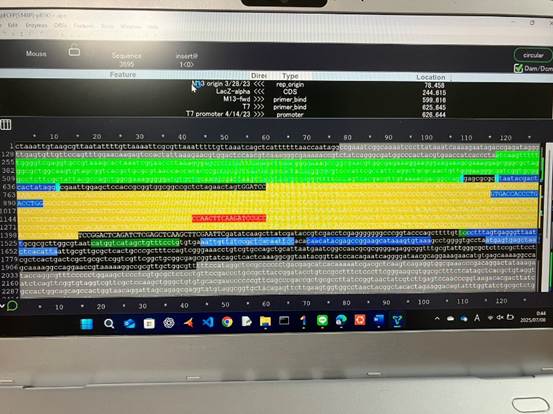 グラフィカル ユーザー インターフェイス

AI 生成コンテンツは誤りを含む可能性があります。